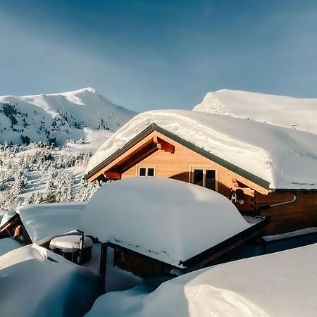 Heidi Chalets Falkert Heidialm - Chalets Bergwinter Patergassen ภายนอก รูปภาพ