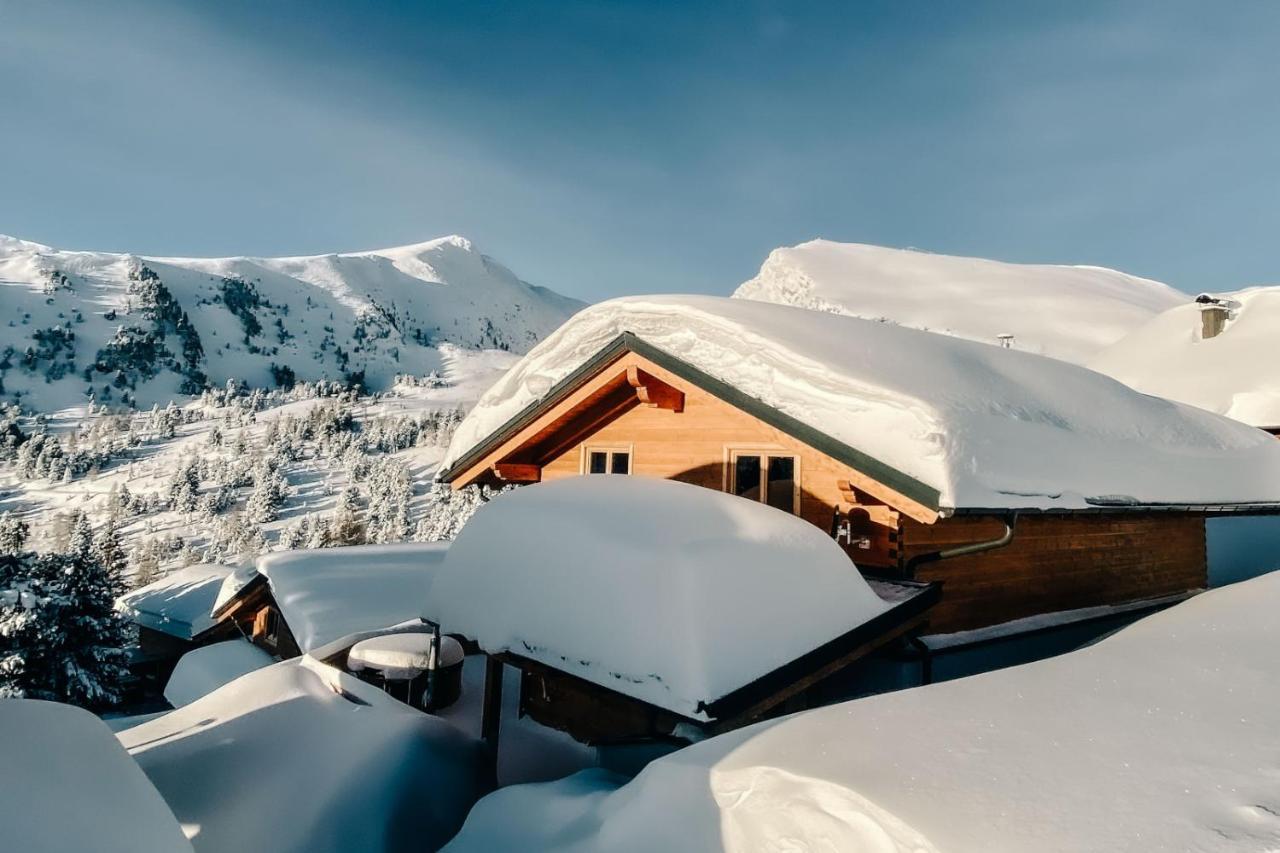 Heidi Chalets Falkert Heidialm - Chalets Bergwinter Patergassen ภายนอก รูปภาพ