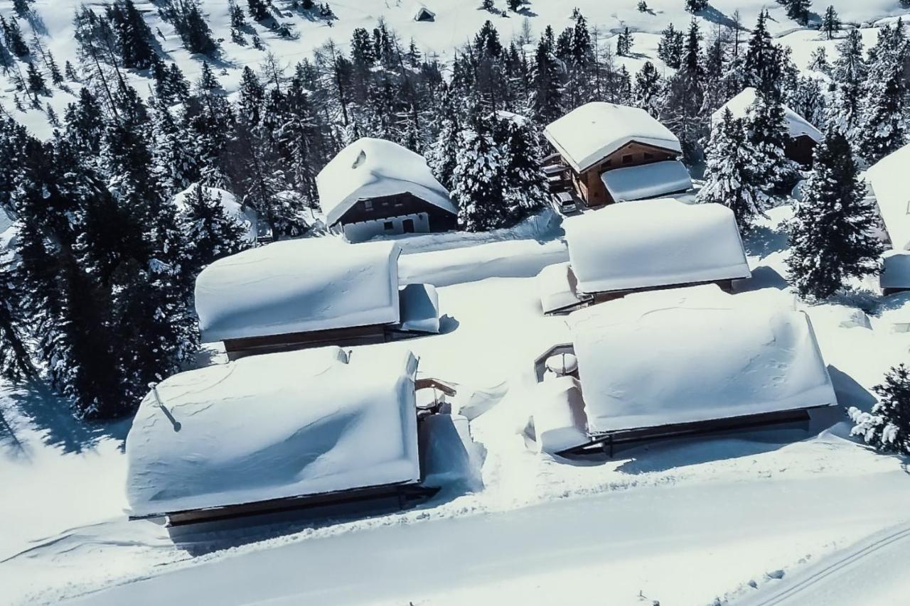 Heidi Chalets Falkert Heidialm - Chalets Bergwinter Patergassen ภายนอก รูปภาพ